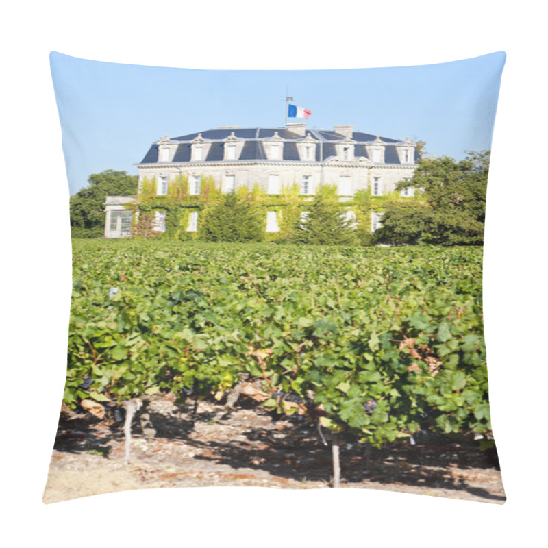 Personality  Chateau De La Tour, By, Bordeaux Region, France Pillow Covers