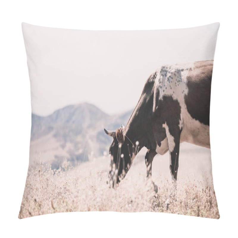 Personality  Cow Eating Grass In Autumn Pasture In Foggy Landscape In Georgia Pillow Covers