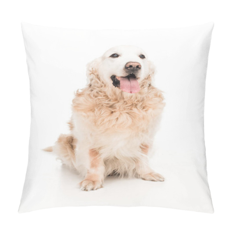 Personality  Dog Pillow Covers