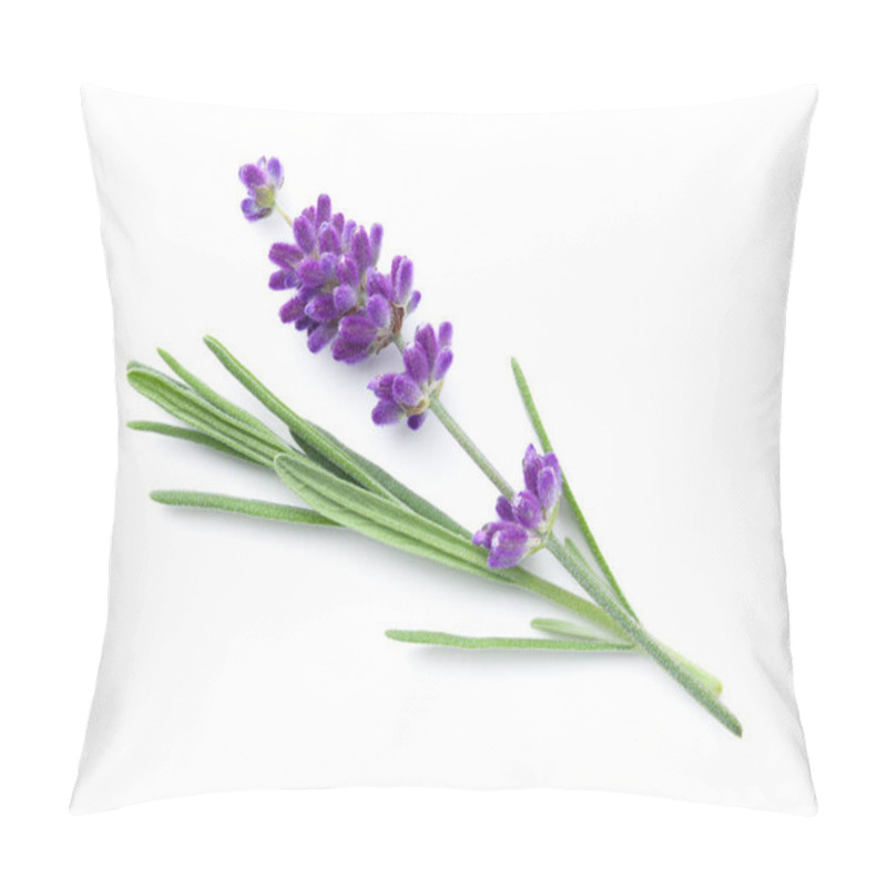 Personality  Lavender Flower Isolated Over White Background. Top View, Flat Lay Pillow Covers