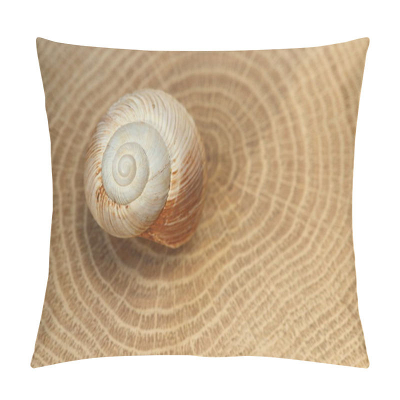 Personality  An Empty Snail Shell Isolated On Wood Slice Pillow Covers