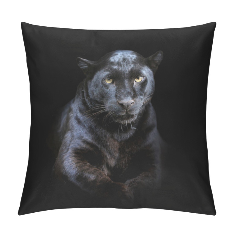 Personality  Leopard On Dark Background Pillow Covers