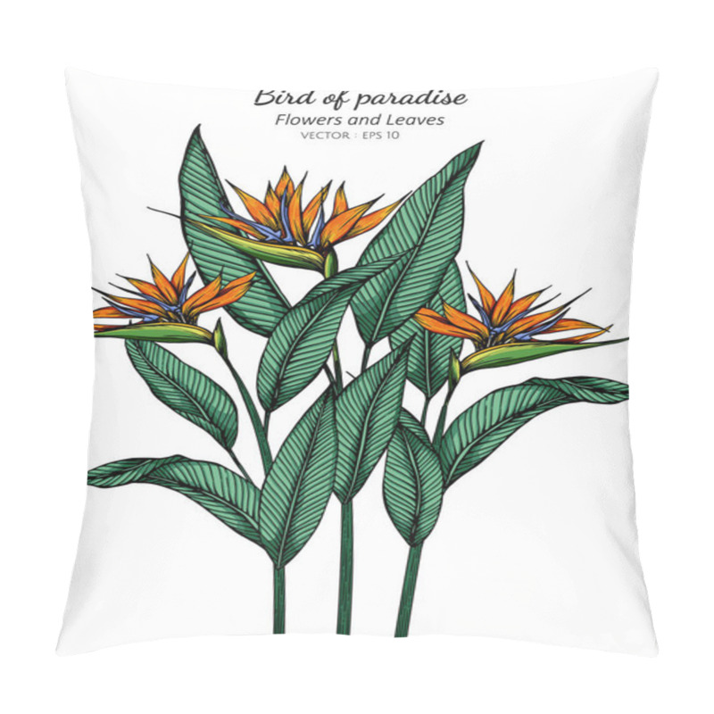 Personality  Bird Of Paradise Flower And Leaf Drawing Illustration With Line Art On White Backgrounds. Pillow Covers