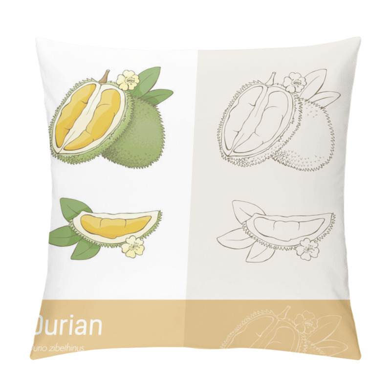 Personality  Durian Fruit With Section Pillow Covers