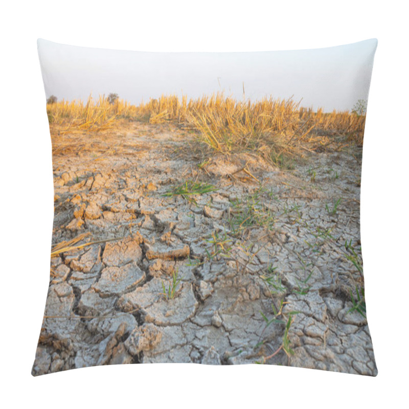 Personality  Rice Fields In Rural Areas In Thailand With Saline Soil. Pillow Covers