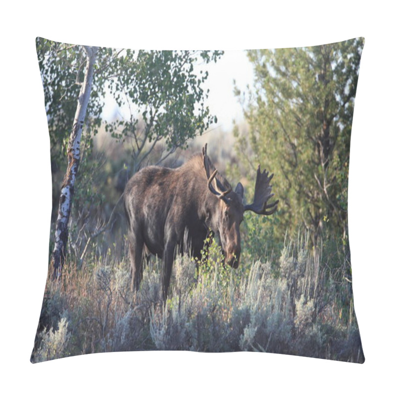 Personality  Bull Moose In Grand Teton National Park, Wyoming Pillow Covers