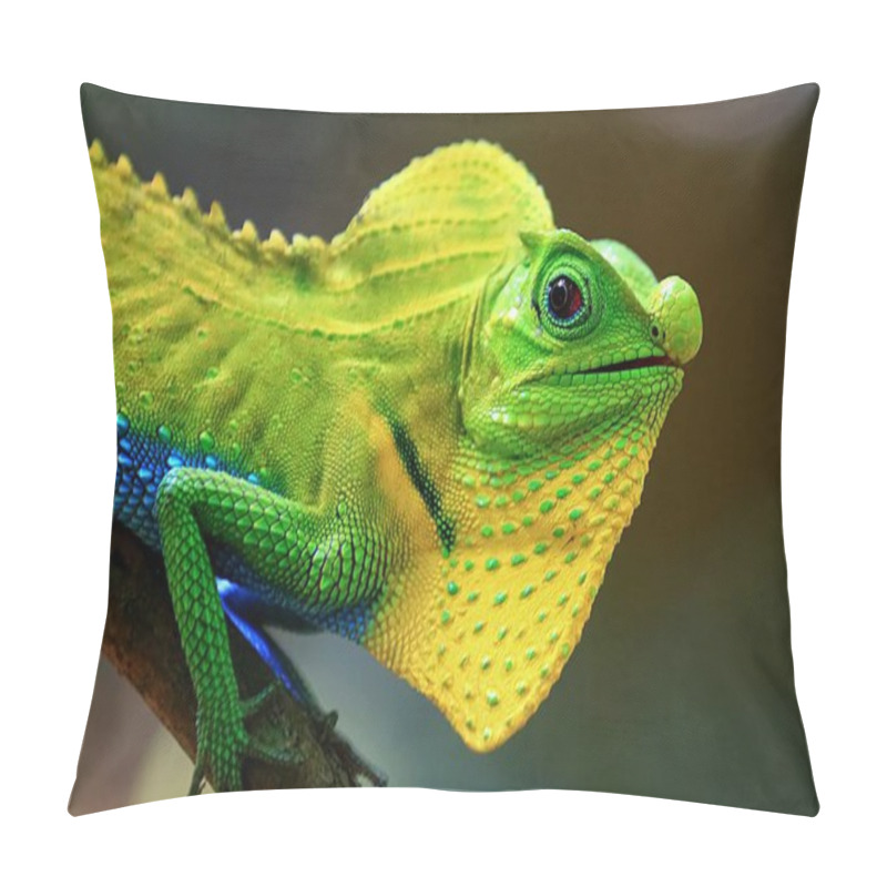 Personality  Chameleon In A Natural Environment In The Forest Of Sri Lanka Pillow Covers