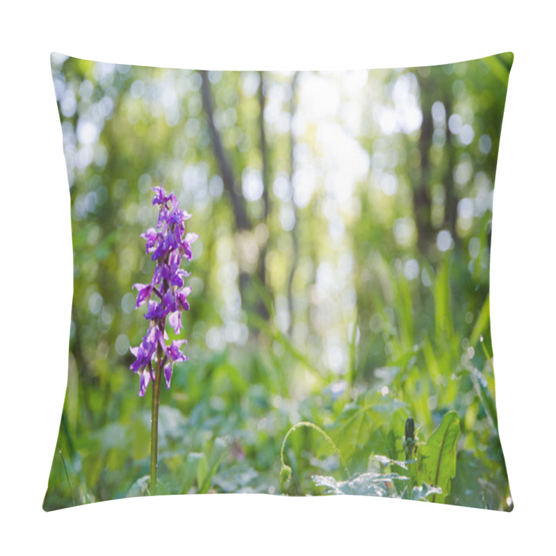 Personality  Morning Light Pillow Covers