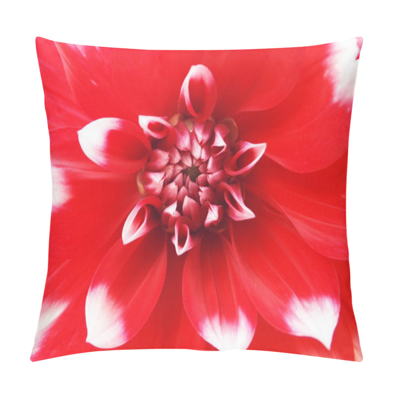 Personality  Pink Dahlia Isolated Pillow Covers