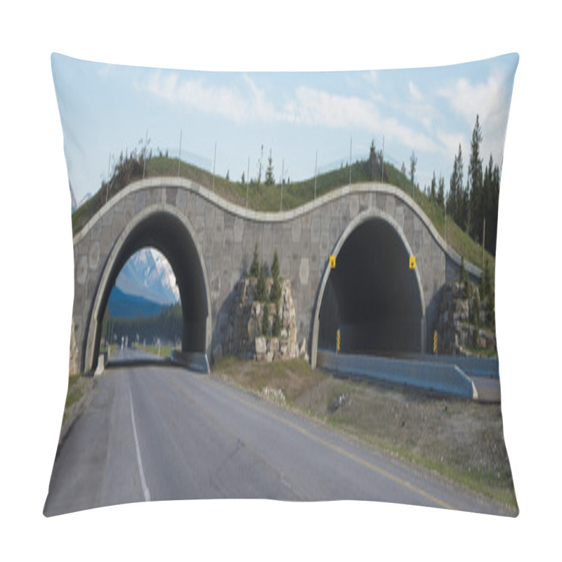 Personality  Highway Crossing Bridge For Animals Pillow Covers