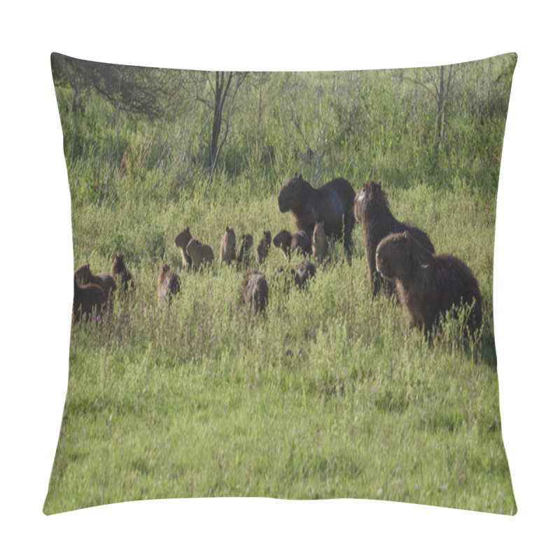 Personality  Capybara Family Group, The Largest Rodent Pillow Covers