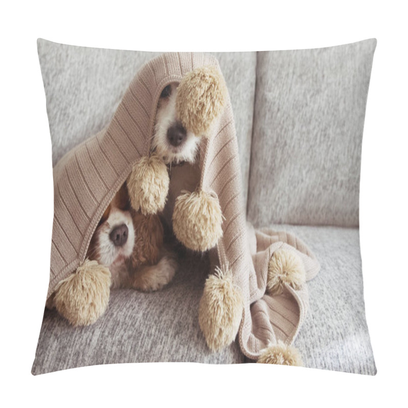 Personality  SICK, PLAYFUL  OR SCARED TWO DOGS COVERED WITH A WARM TASSEL BLA Pillow Covers