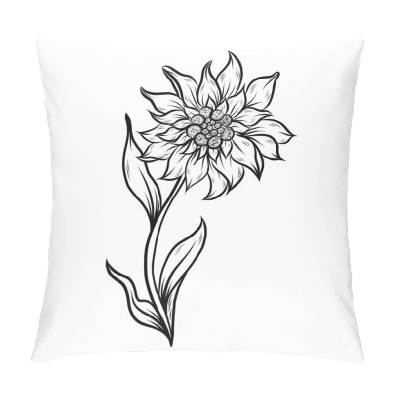 Personality  Edelweiss Flower Line Art. Hand Drawn Vector Floral Outlines. Pillow Covers