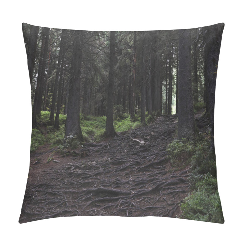 Personality  Background Of The Dark Roots And Fir Trees In The Forest Pillow Covers