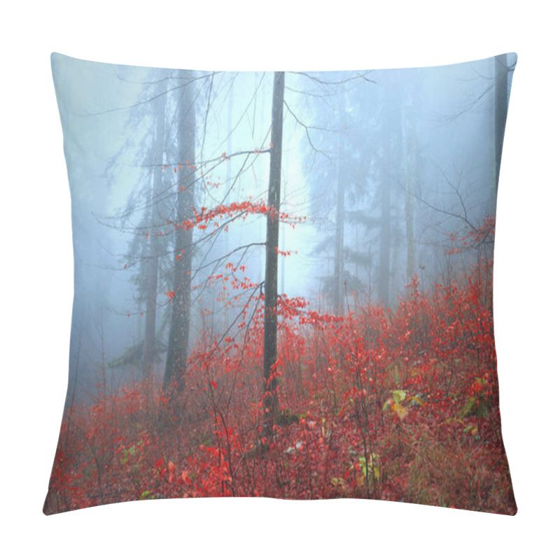 Personality  Beautiful Autumn Red Coloured Tree Leaves In Foggy Forest Pillow Covers