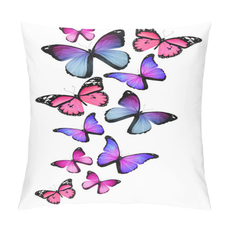 Personality  Many Different Butterflies, Isolated On White Background Pillow Covers