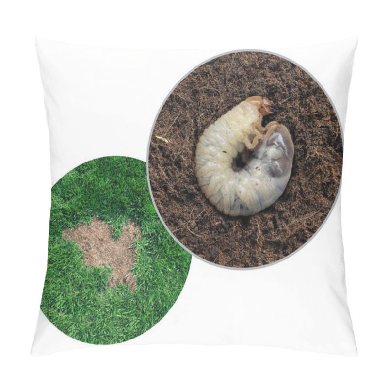 Personality  Lawn Grub Damage Pillow Covers