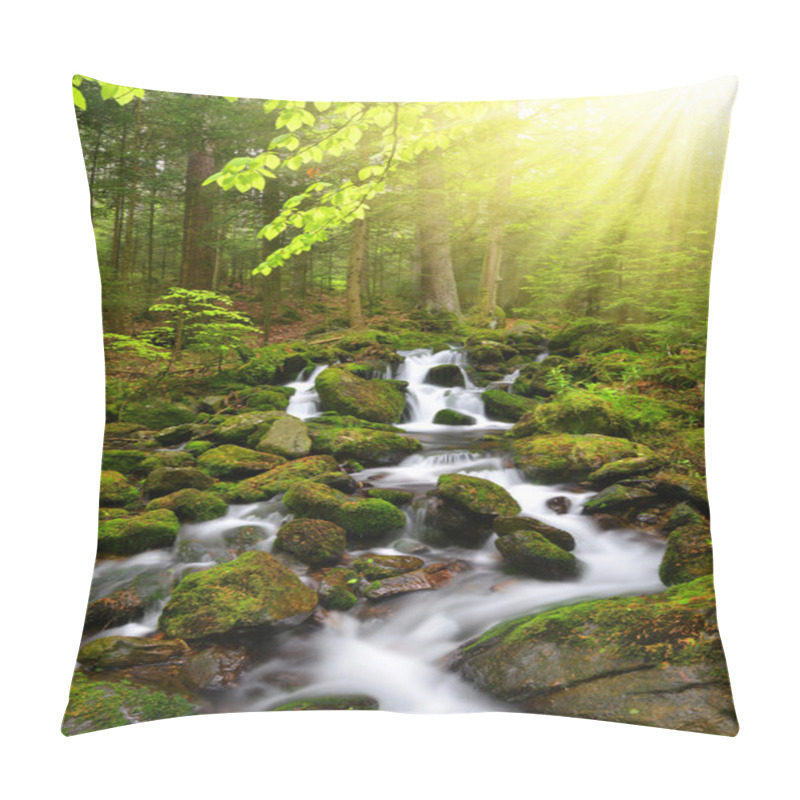 Personality  Mountain Creek In The National Park Sumava Pillow Covers