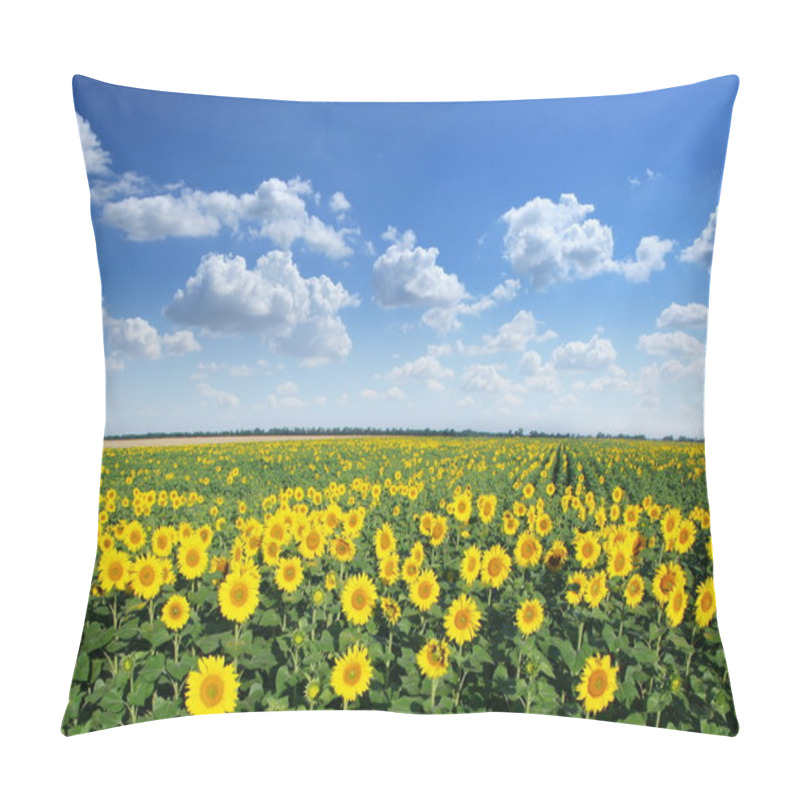 Personality  Sunflower Field. Pillow Covers