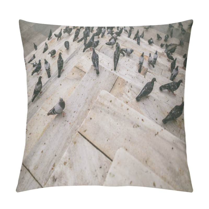 Personality  Pigeons Pillow Covers