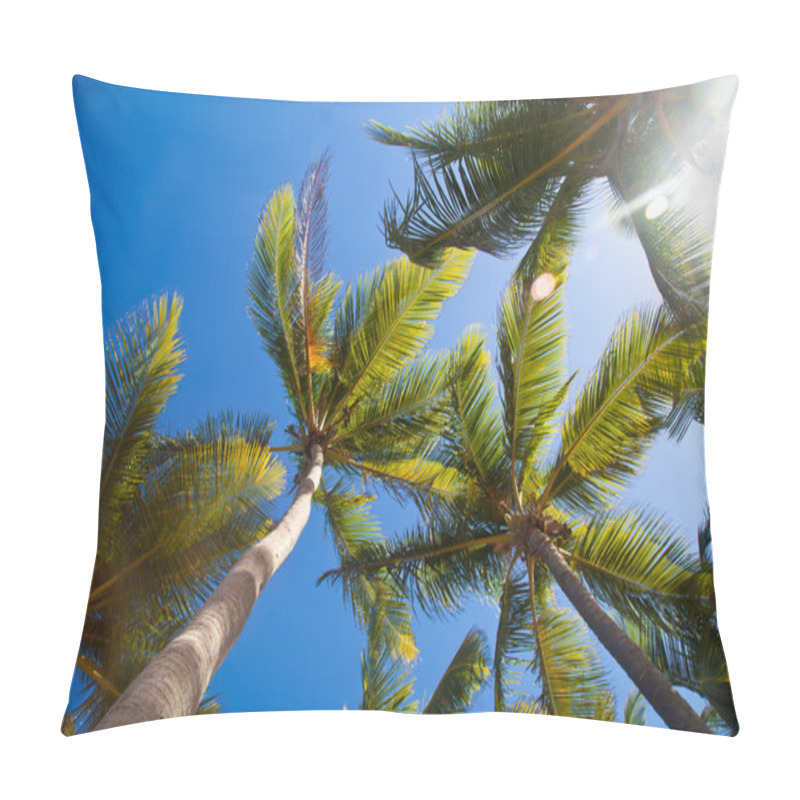 Personality  Coconuts Palm Trees Perspective View From Floor High Up Pillow Covers