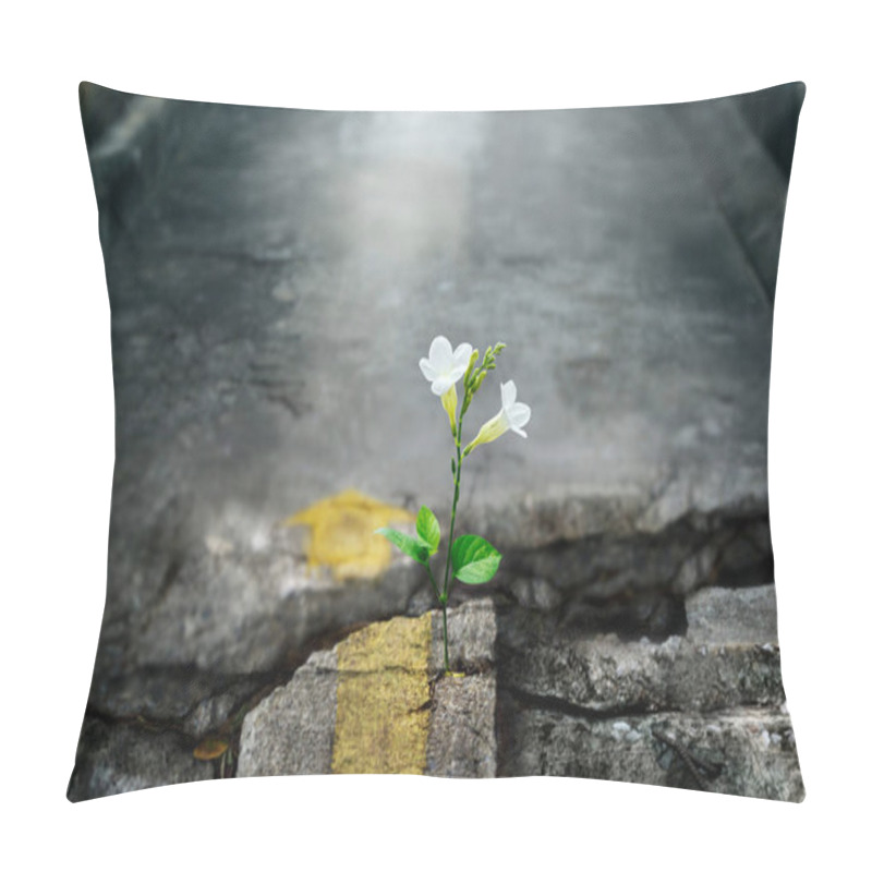 Personality  White Flower Growing On Crack Street, Soft Focus, Blank Text Pillow Covers