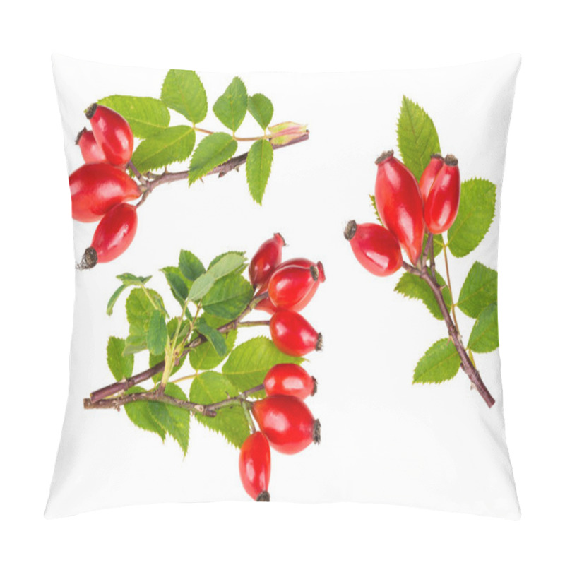 Personality  Small Branches Of Wild Rose With Ripe Briar Fruits. Rosa Canina Pillow Covers