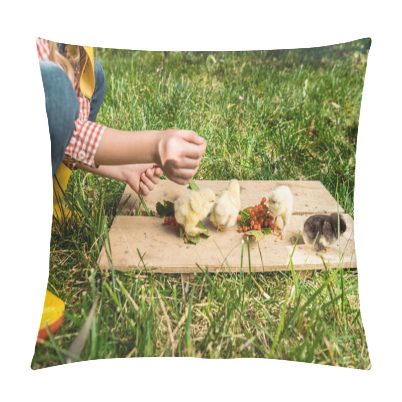 Personality  Cropped Image Of Little Girl Feeding Baby Chicks By Rowan On Wooden Board Outdoors  Pillow Covers