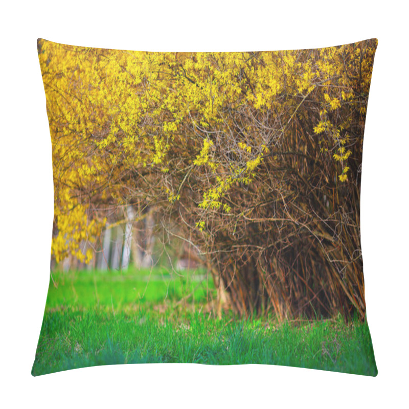 Personality  Yellow Forsythia Bush And Green Grassland In Spring Season Pillow Covers