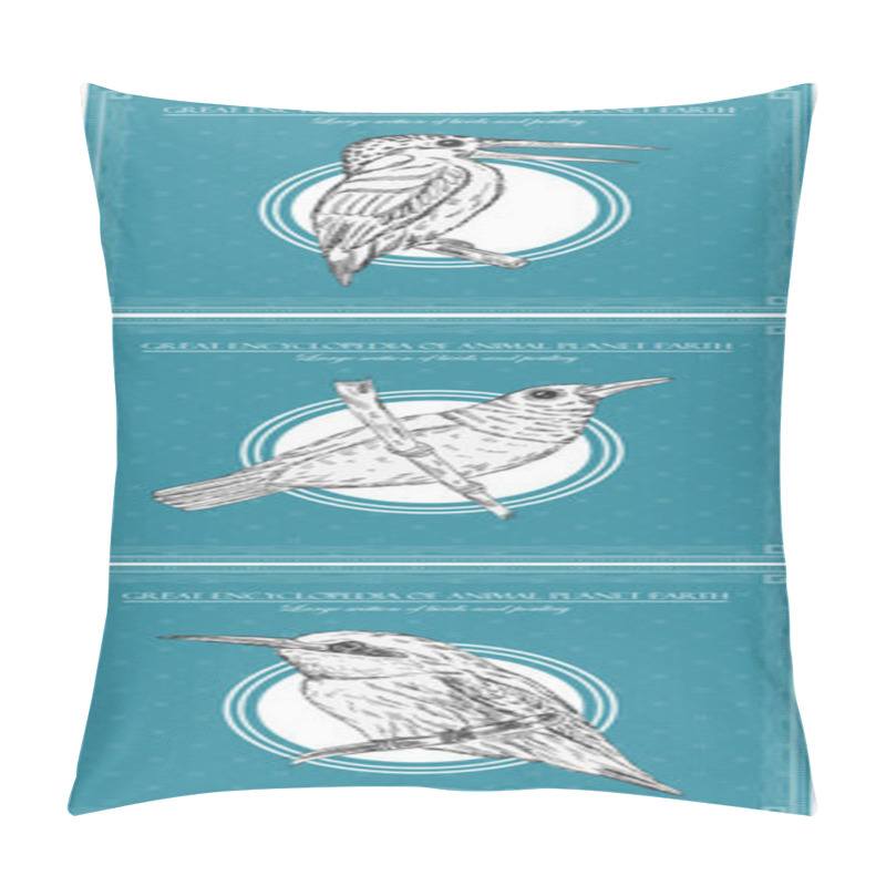 Personality  Chaffinch Bird. Vector Illustration For Great Encyclopedia Of Birds And Animals Pillow Covers