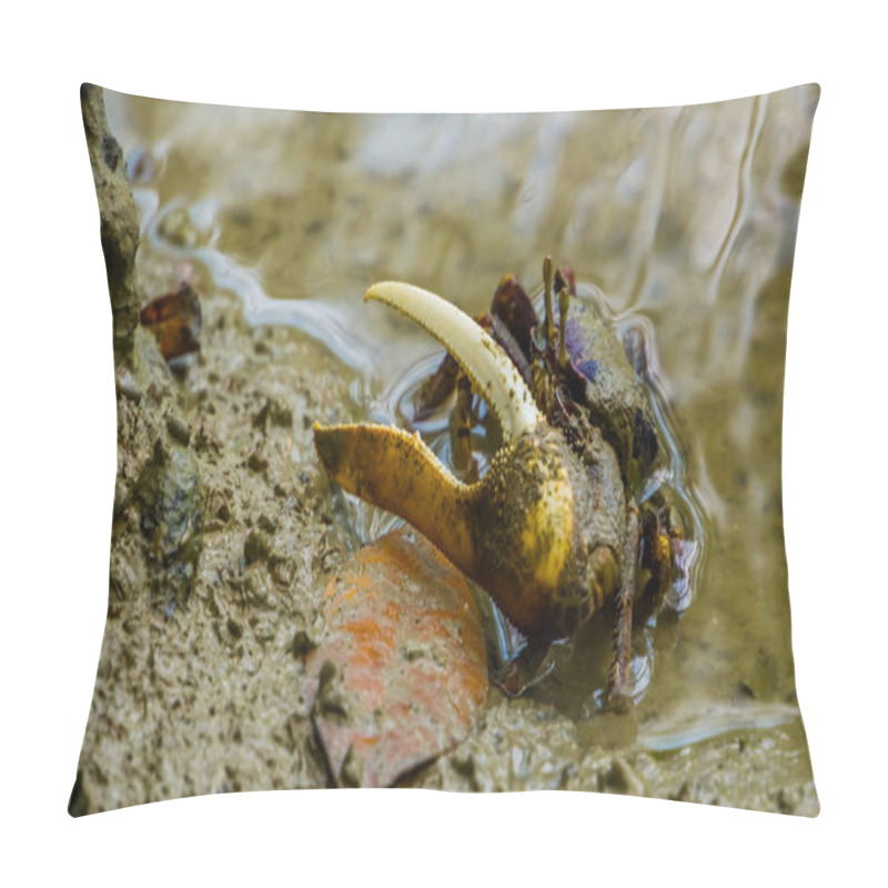 Personality  Closeup Portrait Of A Male Fiddler Crab With A Huge Claw, Tropical Crustacean Specie Pillow Covers