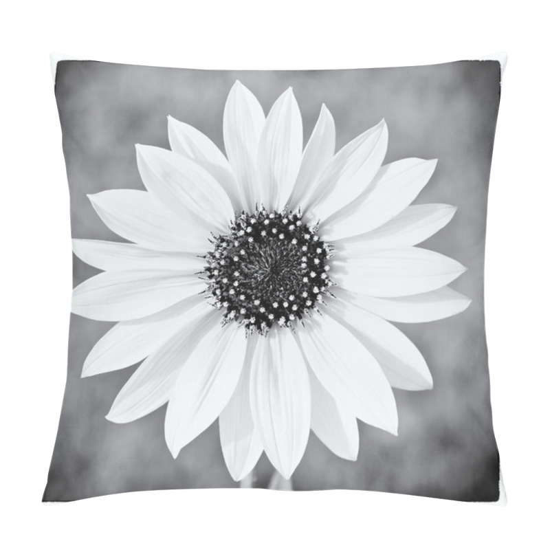 Personality  Wild Sunflower In Black And White Pillow Covers