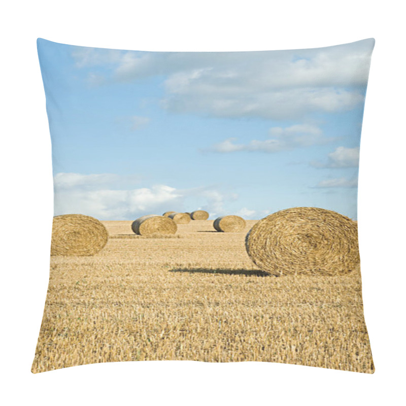 Personality  Bales Of Hay In A Field Pillow Covers