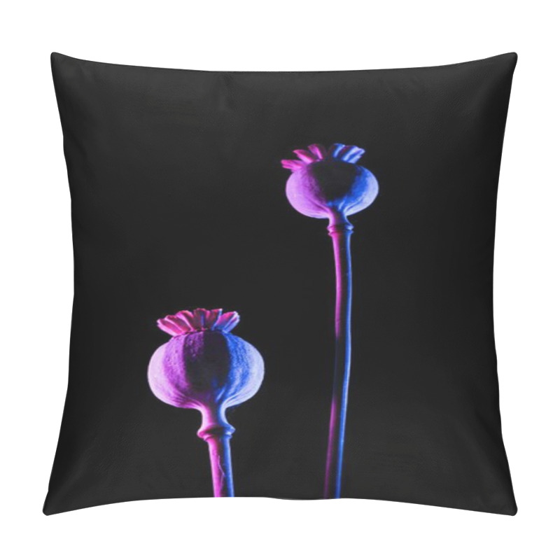 Personality  Two Artistic Poppy Flowers Illuminated With Dramatic Purple And Pink Lighting. Pillow Covers