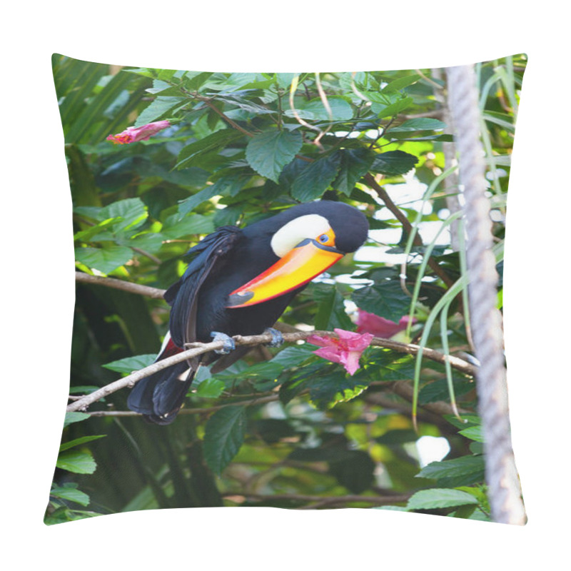 Personality  Toucan In Foliage On A Branch In The Park Pillow Covers