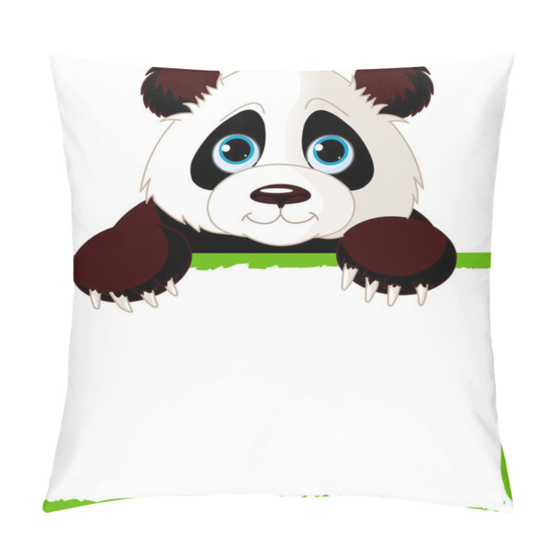 Personality  Cute Panda Card Pillow Covers