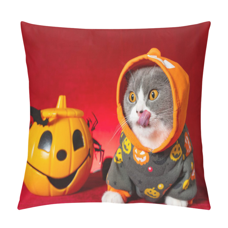 Personality  Cute British Shorthair Cat With Jack-o-lantern Dress Pillow Covers