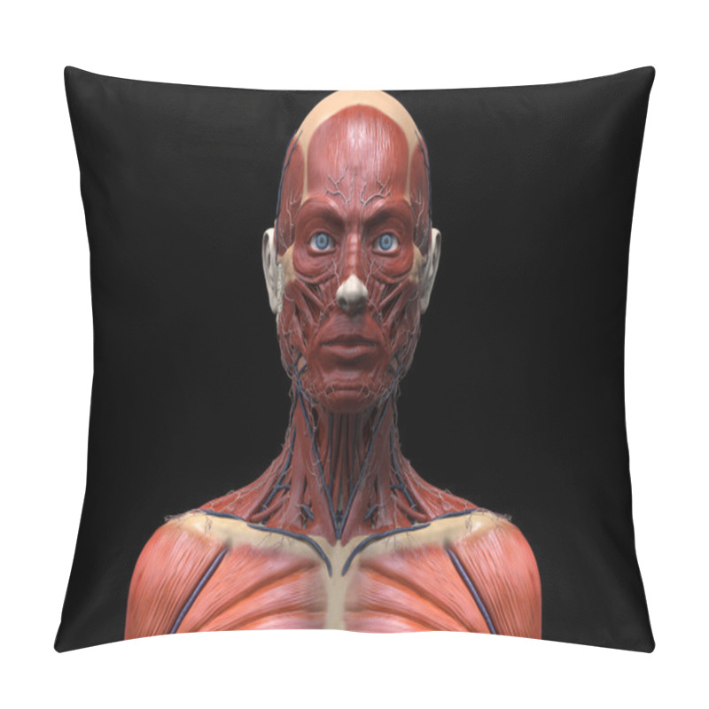 Personality  Human Anatomy Model Of A Female Pillow Covers