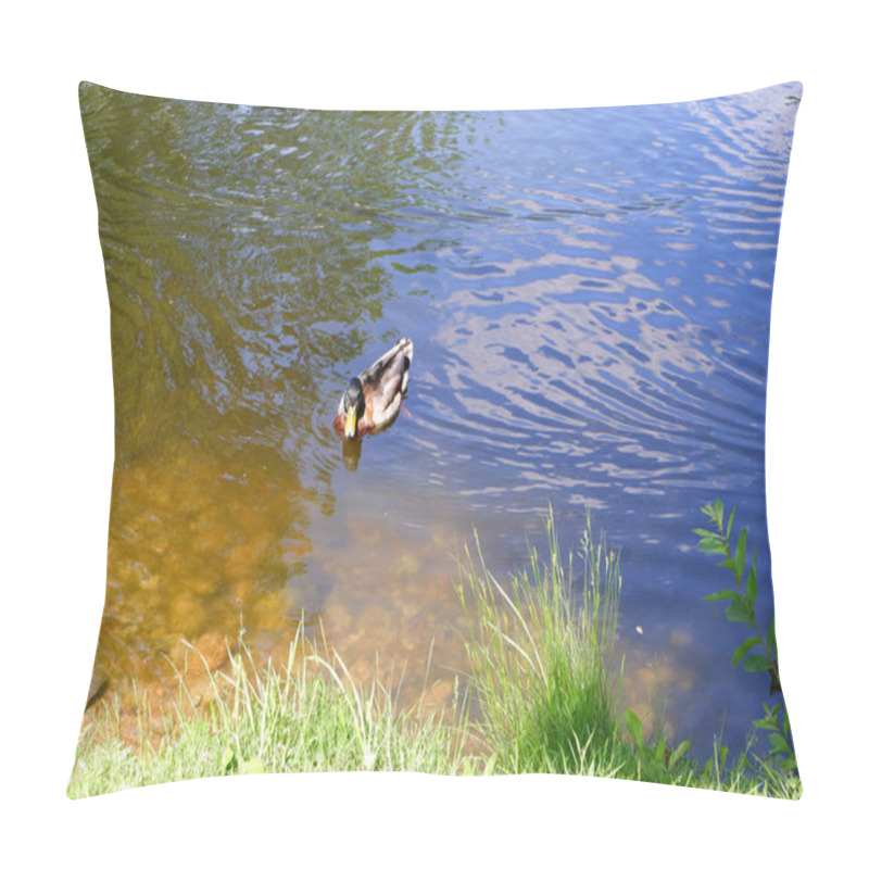 Personality  The Duck Swims In The Pond. Bird In The Water. Pillow Covers