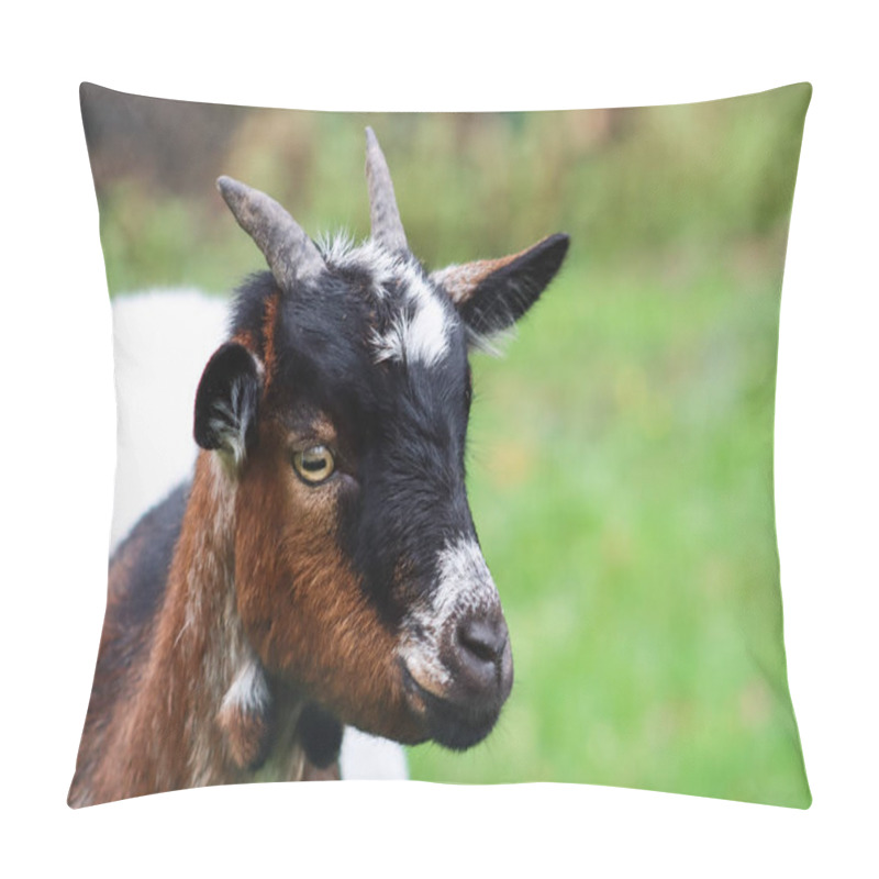 Personality  A Closeup Shot Of A Goat Pillow Covers