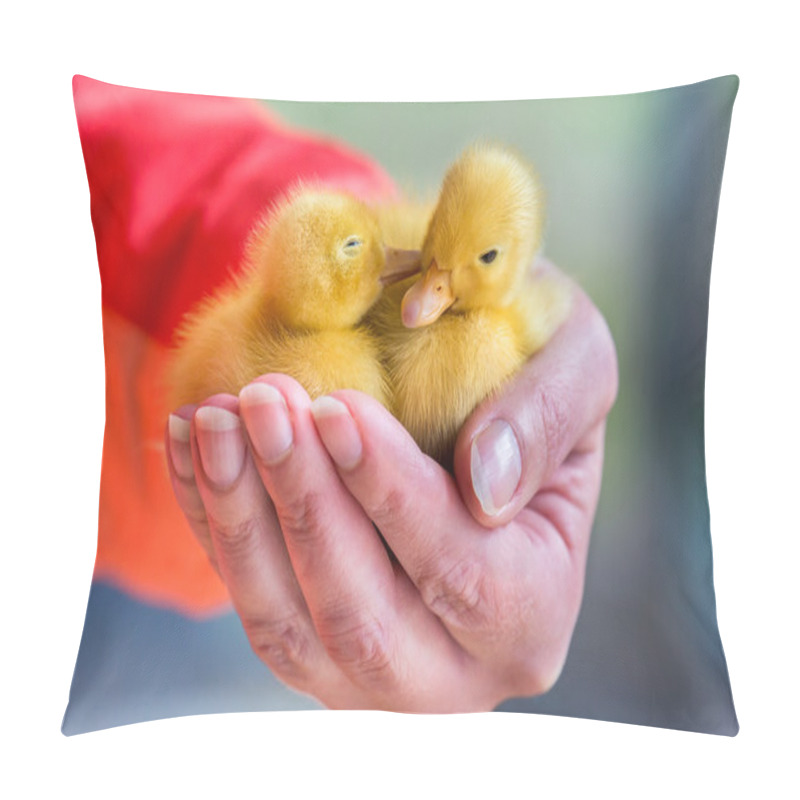 Personality  Two Newborn Yellow Ducklings Sitting On Hand Pillow Covers