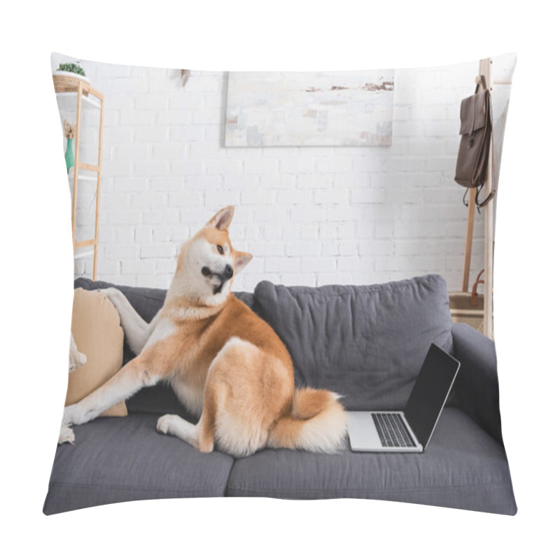 Personality  Akita Inu Dog Sitting On Sofa Near Laptop In Modern Living Room Pillow Covers