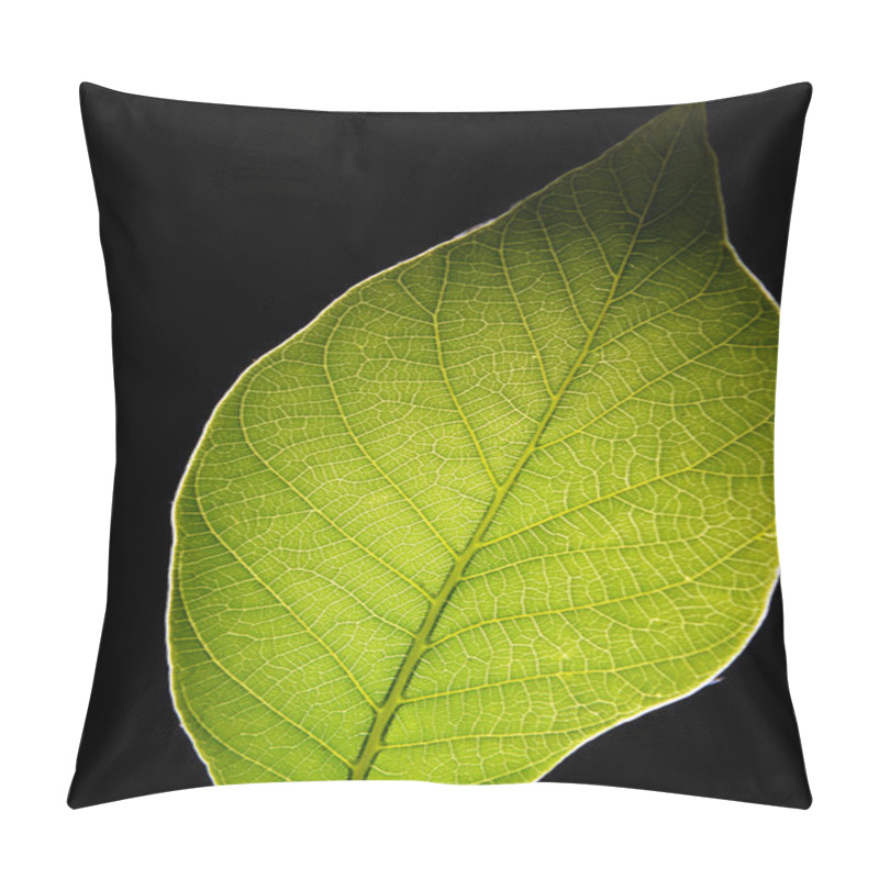 Personality  Green Leaf On Black Background Pillow Covers