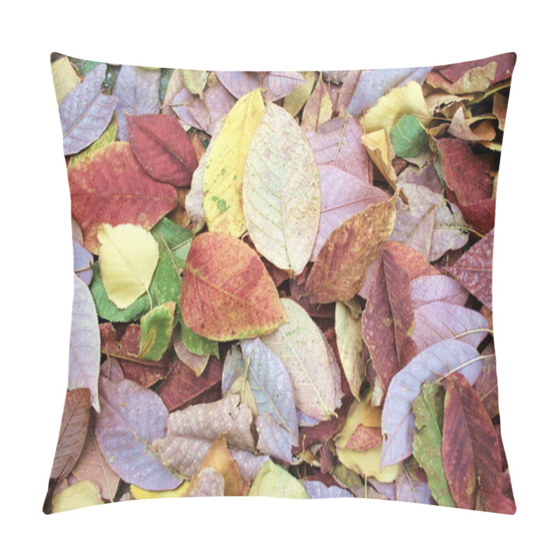 Personality  Autumn Leaves Pillow Covers