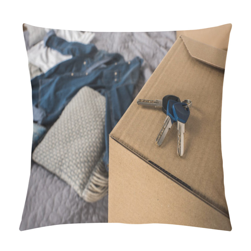 Personality  Keys From Apartment On Cardboard Box Pillow Covers