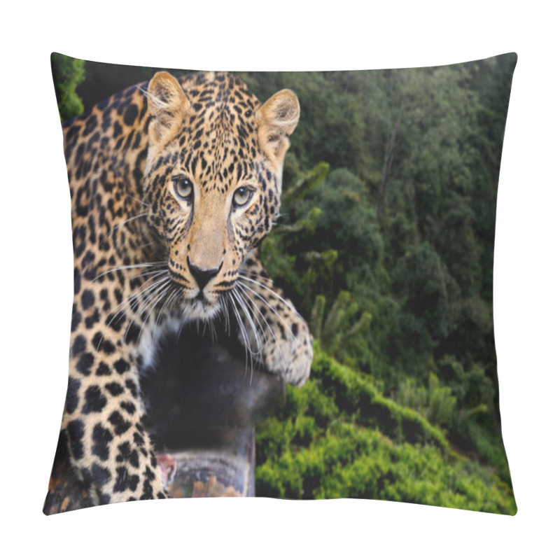 Personality  Leopard In Nature Pillow Covers