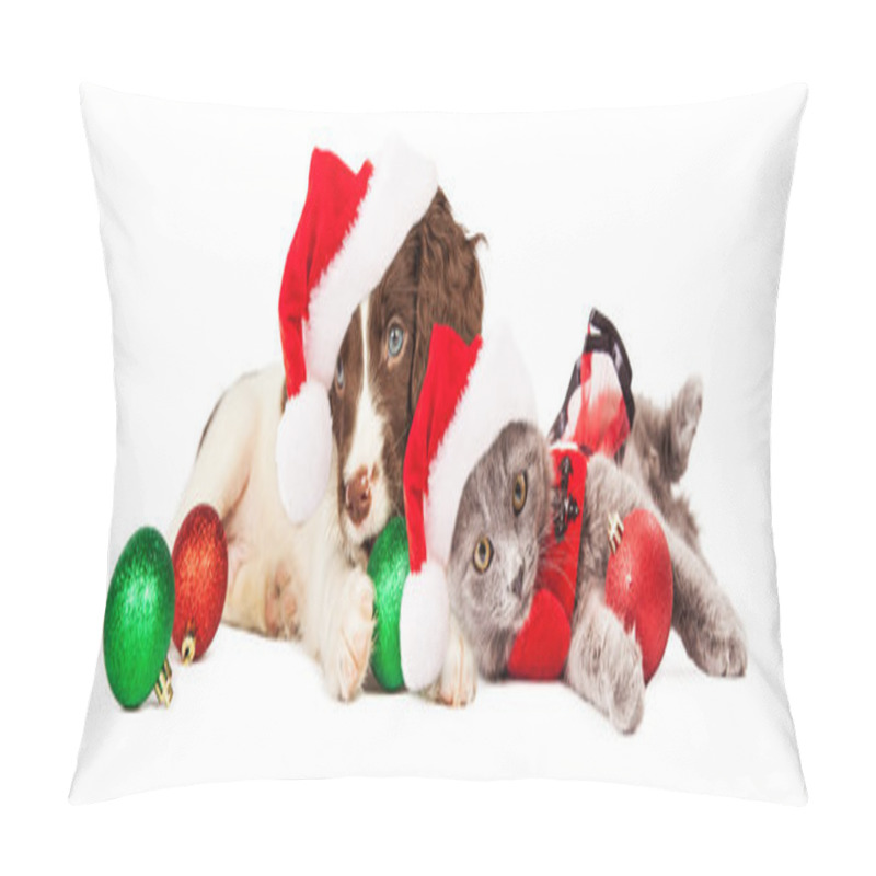 Personality  Puppy And Kitten With Christmas Decorations Pillow Covers