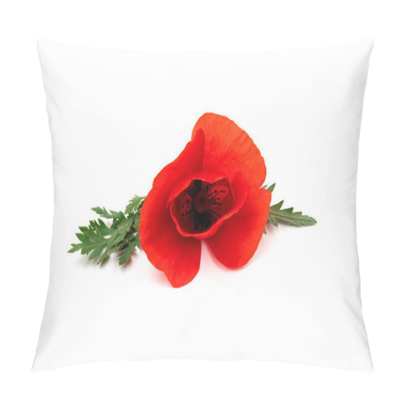 Personality  Flowers Red Poppies ( Corn Poppy, Corn Rose, Field Poppy ) On A White Background. Space For Text. Pillow Covers