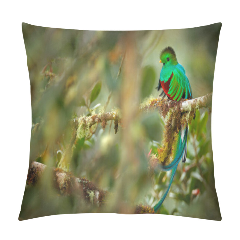 Personality  Resplendent Quetzal, Savegre In Costa Rica With Green Forest In Background. Magnificent Sacred Green And Red Bird. Detail Portrait Of Beautiful Tropic Animal. Bird With Long Tail.  Pillow Covers