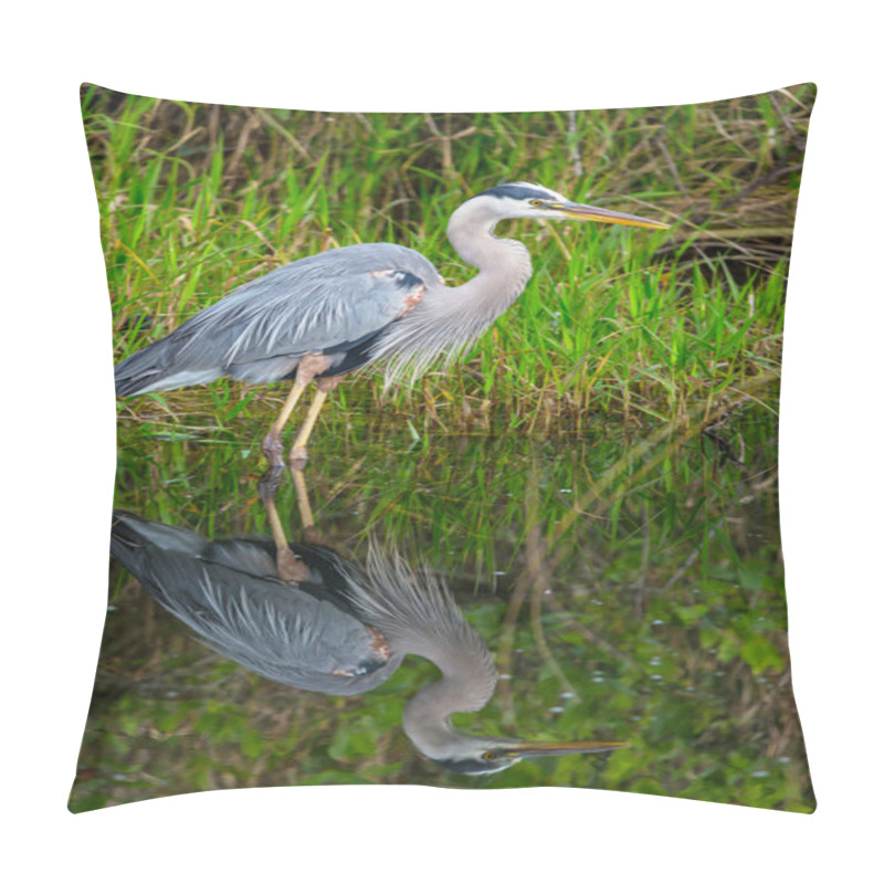 Personality  Heron In Everglades Pillow Covers